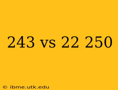 243 vs 22 250