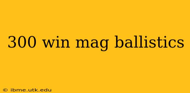 300 win mag ballistics