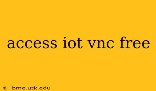 access iot vnc free