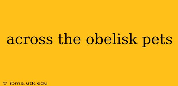 across the obelisk pets
