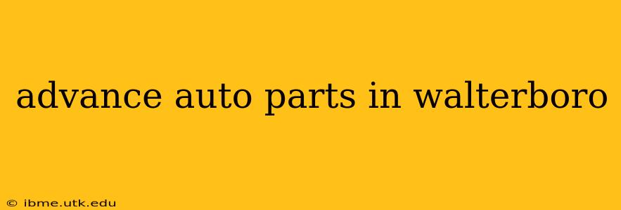 advance auto parts in walterboro