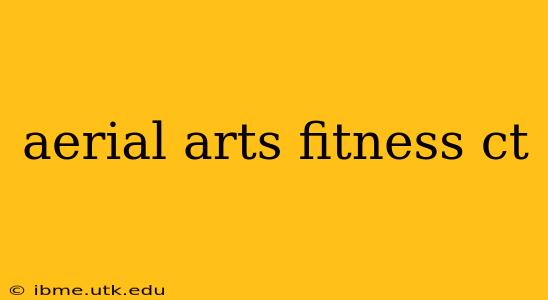 aerial arts fitness ct