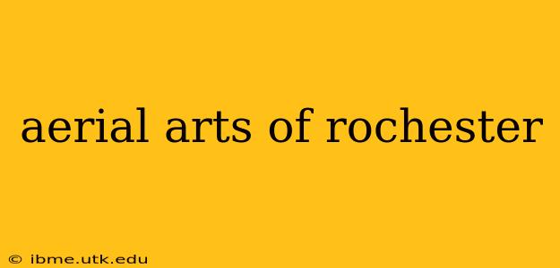 aerial arts of rochester