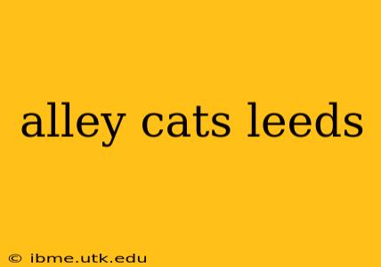 alley cats leeds