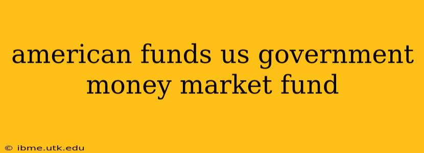 american funds us government money market fund