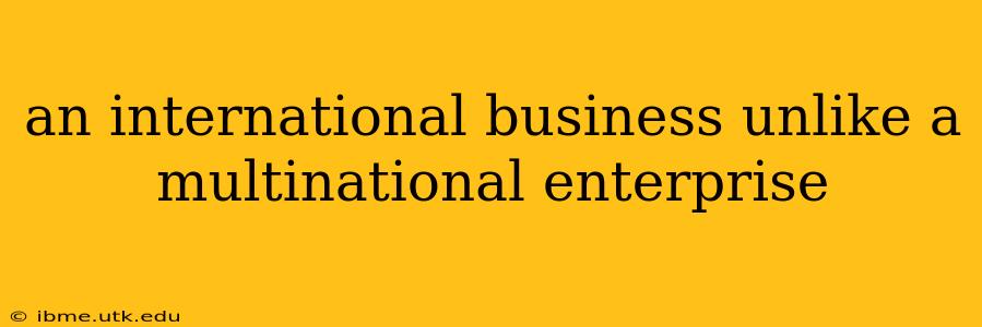an international business unlike a multinational enterprise