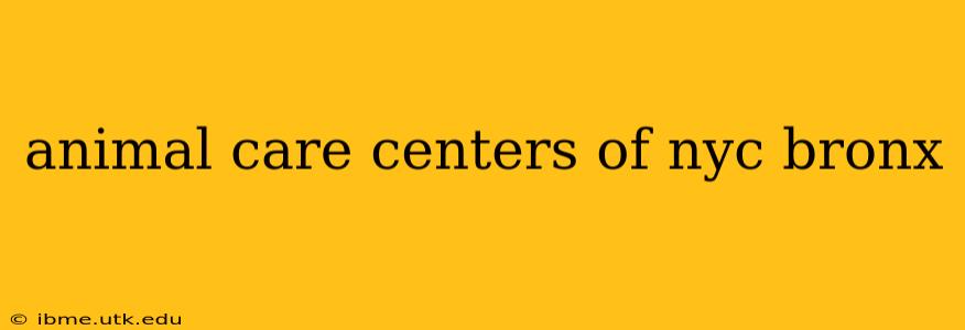 animal care centers of nyc bronx