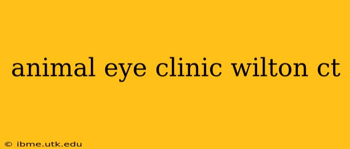animal eye clinic wilton ct