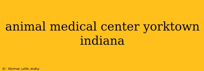 animal medical center yorktown indiana