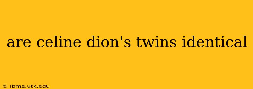 are celine dion's twins identical