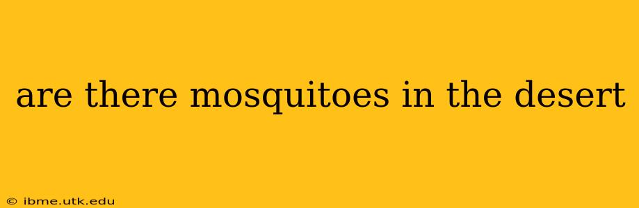 are there mosquitoes in the desert