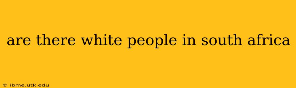 are there white people in south africa