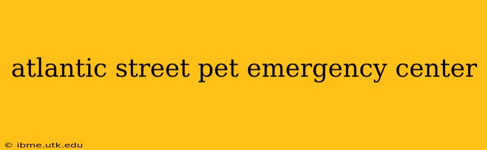 atlantic street pet emergency center