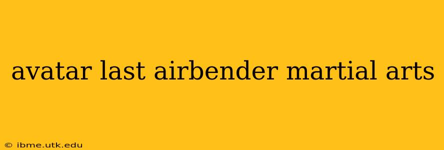 avatar last airbender martial arts