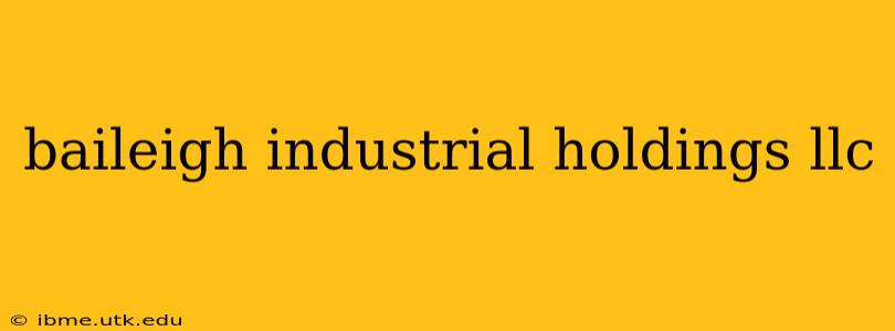 baileigh industrial holdings llc