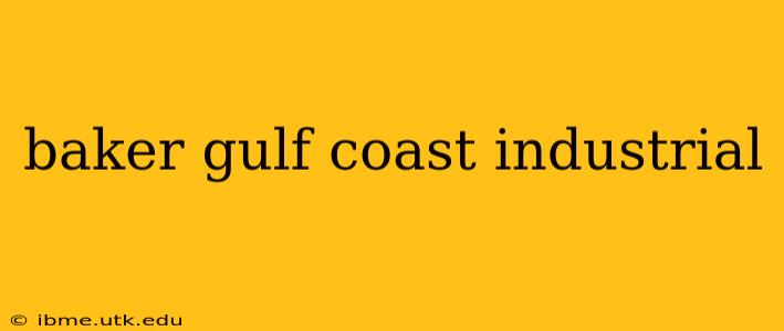 baker gulf coast industrial