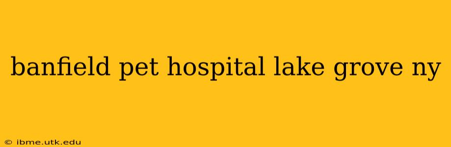 banfield pet hospital lake grove ny