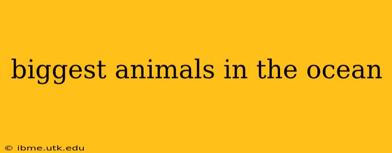 biggest animals in the ocean