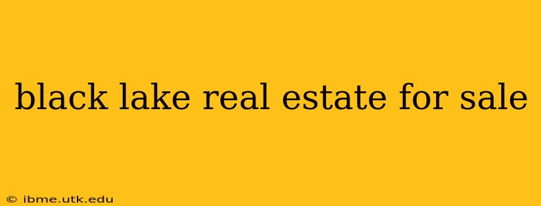 black lake real estate for sale