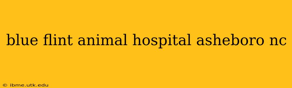 blue flint animal hospital asheboro nc