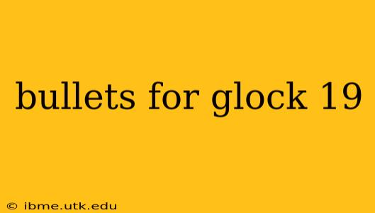 bullets for glock 19