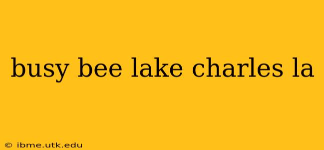 busy bee lake charles la