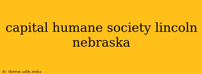 capital humane society lincoln nebraska