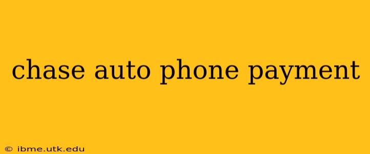 chase auto phone payment