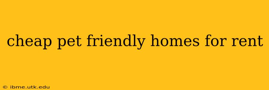 cheap pet friendly homes for rent