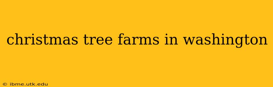 christmas tree farms in washington