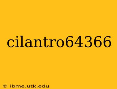 cilantro64366
