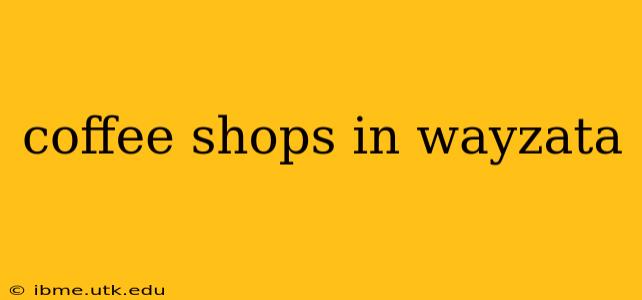 coffee shops in wayzata