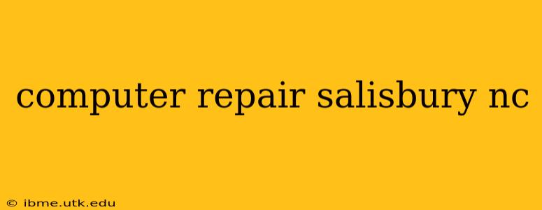 computer repair salisbury nc