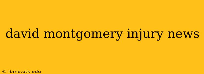 david montgomery injury news