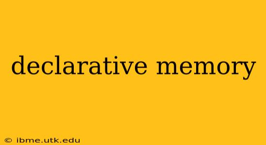 declarative memory