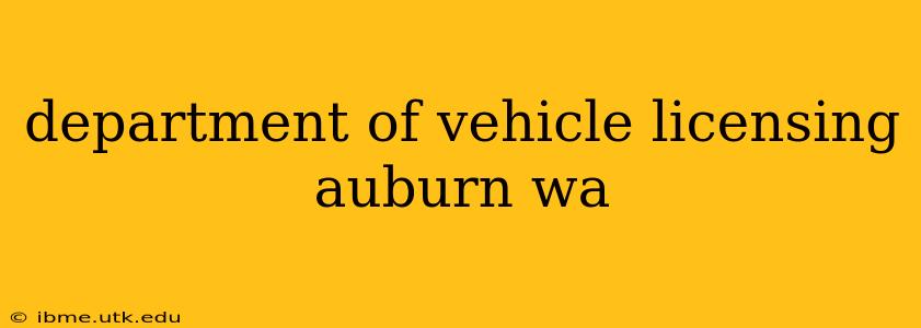 department of vehicle licensing auburn wa