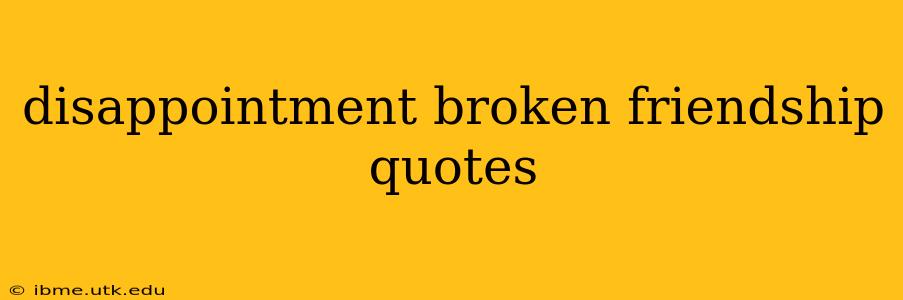 disappointment broken friendship quotes