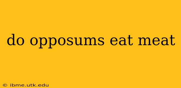 do opposums eat meat
