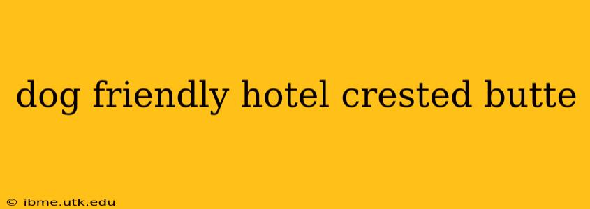 dog friendly hotel crested butte