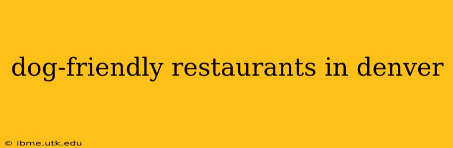 dog-friendly restaurants in denver