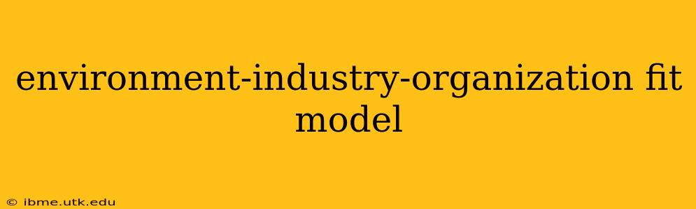 environment-industry-organization fit model