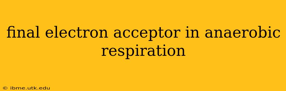 final electron acceptor in anaerobic respiration