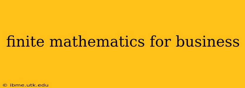 finite mathematics for business