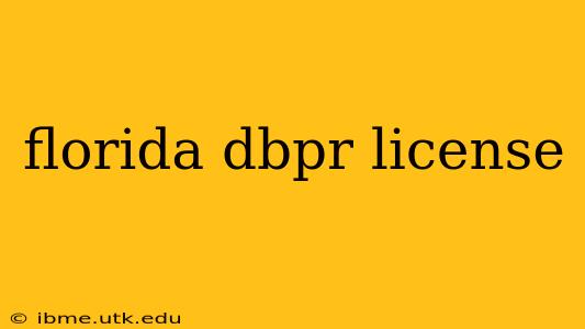 florida dbpr license