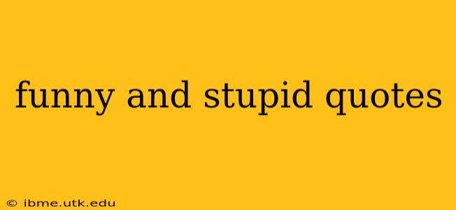 funny and stupid quotes