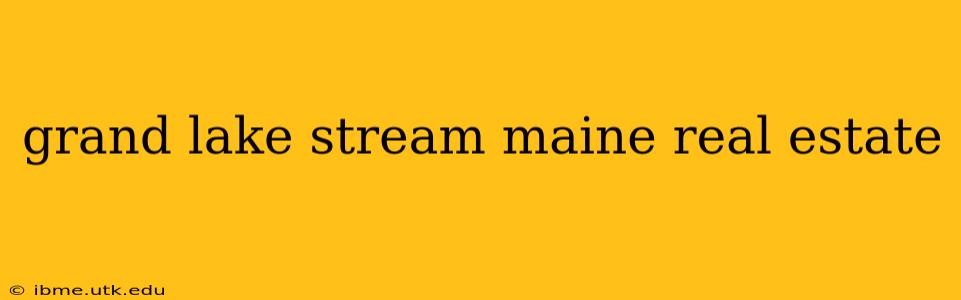 grand lake stream maine real estate