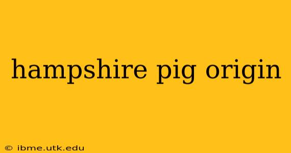 hampshire pig origin