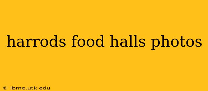 harrods food halls photos