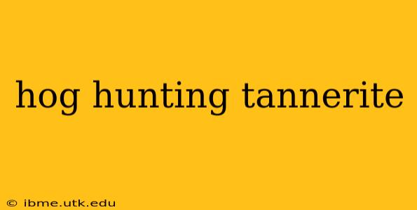 hog hunting tannerite