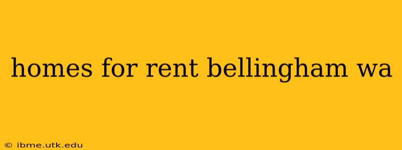 homes for rent bellingham wa